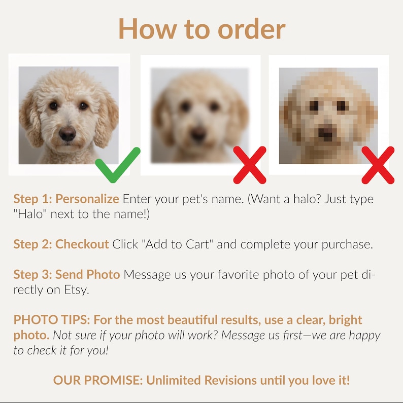 May include: Image showing instructions on how to order a custom pet portrait. The text reads "How to order" with steps to personalize, checkout, and send a photo. Includes examples of good and bad photos.