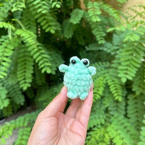 Crochet Frog Pattern Amigurumi Frog Pattern cute frog pattern no sew pattern plush frog pattern amigurumi frog animals frog pattern