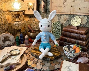 Häkelanleitung für einen Hasen (PDF), Amigurumi-Hasenmuster mit Kleidung, Hasenmuster mit Strickjacke und Shorts, Anleitung zum Häkeln eines niedlichen Tieres