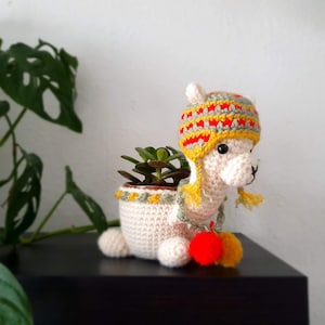 Könnte beinhalten: Ein gehäkelter Lama-Pflanztopf mit einem rot-gelb-grünen Hut. Der Topf enthält eine kleine Sukkulente.