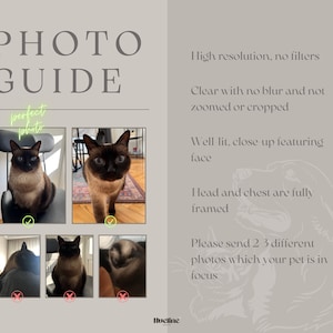 May include: A beige and gray photo guide with the text "PHOTO GUIDE" and "perfect photo". The guide includes examples of well-lit, close-up pet photos with the head and chest fully framed. The text also says "High resolution, no filters".