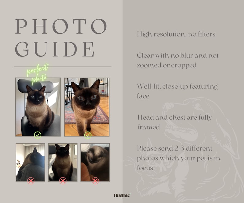 May include: A beige and gray photo guide with the text "PHOTO GUIDE" and "perfect photo". The guide includes examples of well-lit, close-up pet photos with the head and chest fully framed. The text also says "High resolution, no filters".