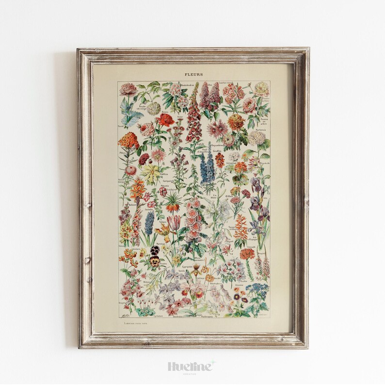 Vintage Botanical Flower Chart Print – Antique Floral Wall Art Poster ...