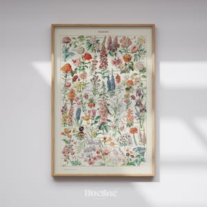 Op de afbeelding: Een ingelijste botanische print met een verscheidenheid aan kleurrijke bloemen. De print, getiteld "FLEURS", toont gedetailleerde illustraties van verschillende bloemsoorten in een vintage stijl. De lijst is lichtbruin.