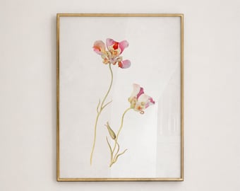 - Vintage Wall Art