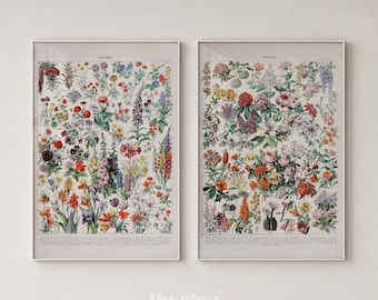 Vintage Flower Print Set, Botanical Wall Art Pair, Antique Floral Posters, Cottagecore Decor - L1272
