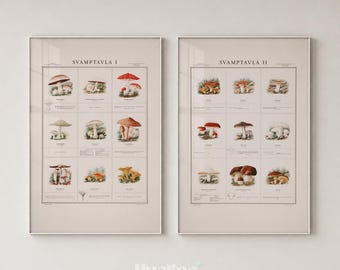 Vintage Mushroom Print Set, Botanical Wall Art Pair, Antique Fungi Posters, Cottagecore Decor - L1271