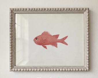 Vintage Red Fish Illustration, Minimalist Marine Life Wall Decor, Antique Squirrelfish Poster - L1250