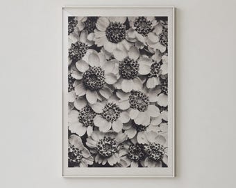 Vintage Black and White Daisy Photography, Monochrome Floral Wall Decor, Moody Flower Poster - L1253