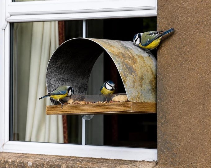 Window Bird Feeder with Suction Cups, Handmade Wooden Window Bird Feeder, Clear Bird Watching Feeder, Garden Bird Feeder, Bird Lover Gift