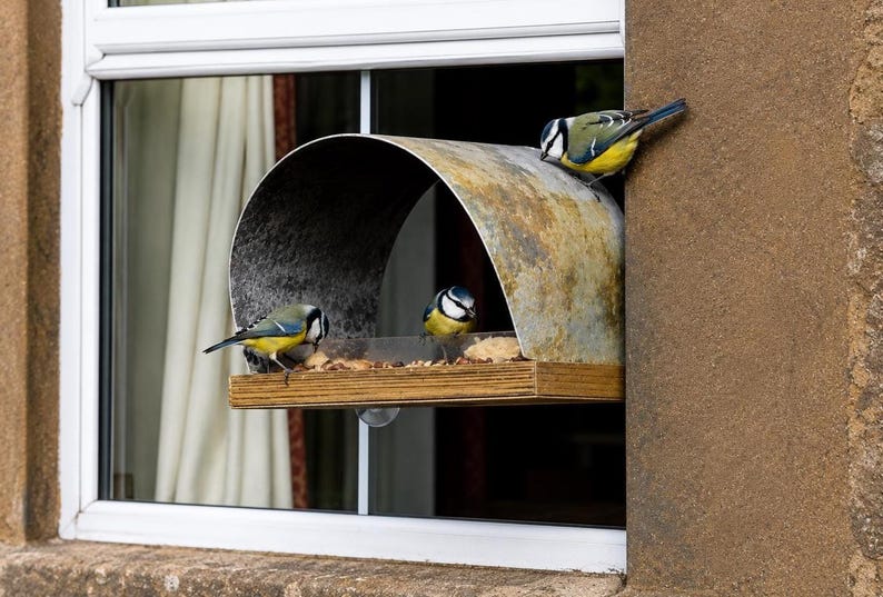 Peut inclure: Un nichoir &agrave; oiseaux fix&eacute; &agrave; une fen&ecirc;tre, avec trois petits oiseaux bleus, jaunes et blancs perch&eacute;s dessus. Le nichoir a une base en bois et un toit m&eacute;tallique incurv&eacute;. Les oiseaux mangent des graines. La fen&ecirc;tre est blanche et le mur est brun.