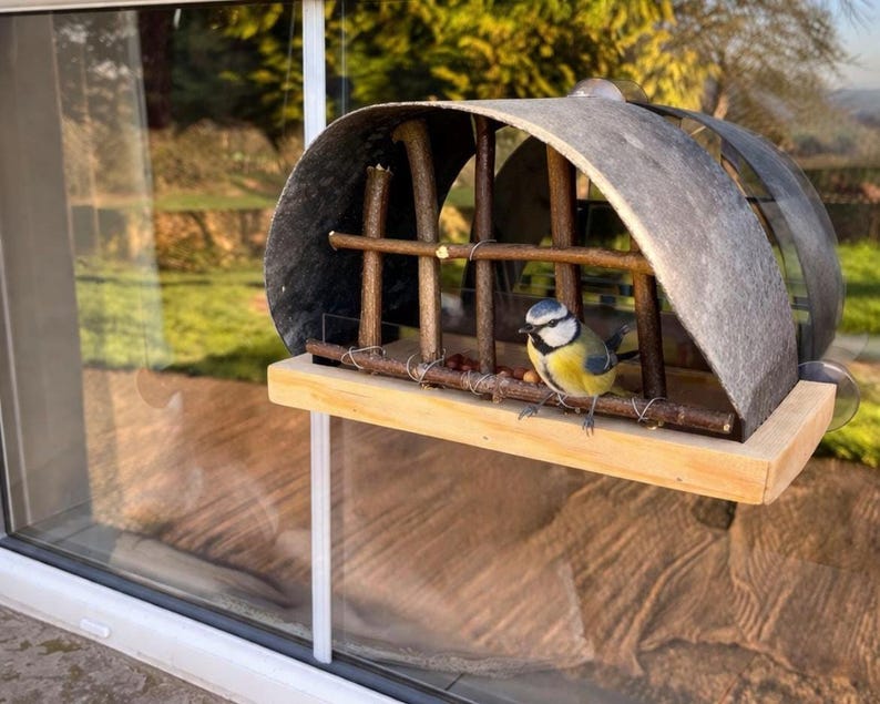 Peut inclure: Un mangeoire &agrave; oiseaux fix&eacute; &agrave; une fen&ecirc;tre avec une petite m&eacute;sange bleue perch&eacute;e sur un perchoir en bois. La mangeoire a un toit incurv&eacute; en m&eacute;tal et une base en bois. L'arri&egrave;re-plan est une vue floue d'arbres et de feuillage.