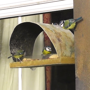 May include: Three blue tits perched on a bird feeder. The feeder is a metal dome with a wooden platform. The birds are eating seeds.