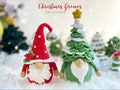 Christmas Gnome Crochet Patterns, Amigurumi Crochet Gnome  Patterns, Crochet Gnome Christmas Tree Pattern, Gnome Santa Crochet Pattern
