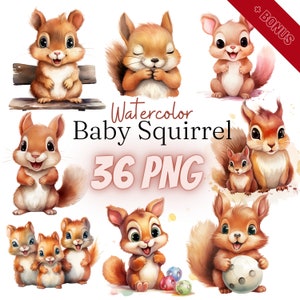 Lot de cliparts aquarelle bébé écureuil, 36 PNG, écureuil, décoration écureuil, bébé animal, téléchargement numérique, usage commercial, 300 dpi