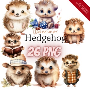 Aquarelle Hedgehog Cliparts Bundle, PNG, 26 illustrations, bébé hérisson, bébé, mignon, 300 dpi, transparent, numérique, utilisation commerciale