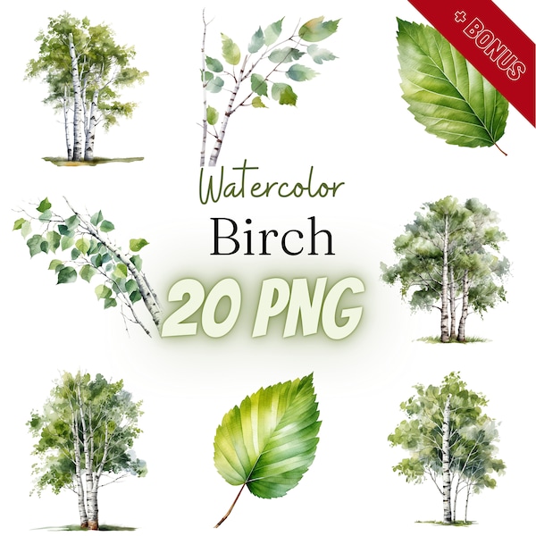 Watercolor Birch Cliparts Bundle, PNG, 20 illustrations, birches, tree, forest, birch leaf, 300 dpi, transparent, digital, commercial use