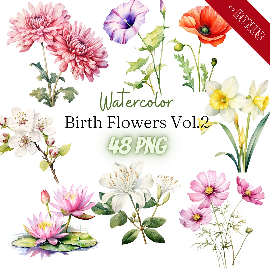 Watercolor Birth Flowers Cliparts Bundle, PNG, 48 Illustrations, 300dpi