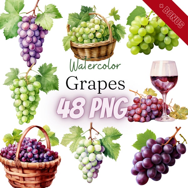 Watercolor Grapes Cliparts Bundle, Grape Clipart, Red Wine, Purple Grapes, Green Grapes, Vineyard Art, Grape Graphics, 48 PNG, 300 dpi