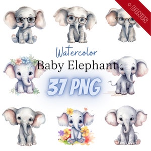 Pacchetto clipart acquerello Baby Elephant, PNG, 37 illustrazioni, elefante acquerello, safari, 300 dpi, trasparente, digitale, uso commerciale