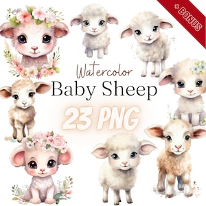 Watercolor Baby Sheep Cliparts Bundle, PNG, 23 illustrations, sheep, cute, watercolor sheep, 300dpi, transparent, digital, commercial use