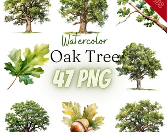 Watercolor Oak Tree Bundle, PNG, 47 illustrations, oak trees, oak leaves, oak branches, leaf, 300 dpi, transparent, digital, commercial use