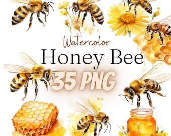 Watercolor Honey Bee Cliparts, PNG, 35 illustrations, 300 dpi, spring, summer, garden, honey,  honey, comb, digital, commercial use