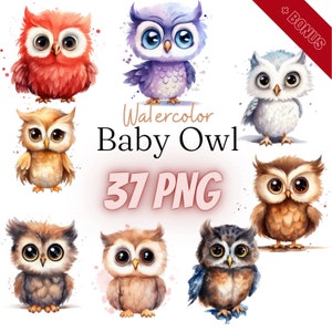 Aquarell Baby Eule Cliparts, PNG, 37 Illustrationen, süße Eulen, kleine Eule, Freund, verschiedene Farben, Bundle, 300dpi, digital, kommerzielle Nutzung