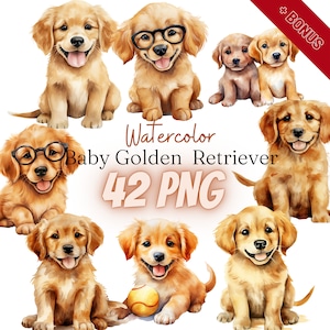 Watercolor Baby Golden Retriever Cliparts Bundle, PNG, 42 illustrations, Golden Retriever, dog, 300dpi, transparent, digital,commercial use