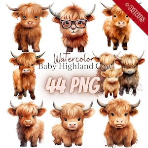 水彩画のハイランド牛の赤ちゃんのクリップアート バンドル、PNG、イラスト 44 点、ハイランド牛、家族、300 dpi、透明、デジタル、商用利用