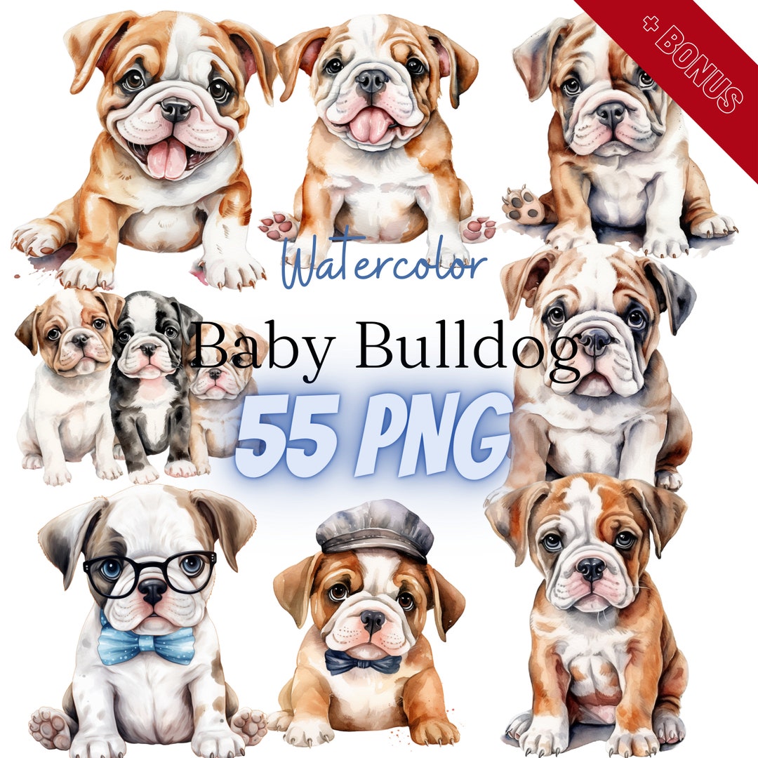 Watercolor Baby Bulldog Cliparts Bundle, PNG, 67 Illustrations ...