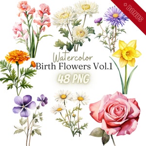 Pacchetto clipart fiore nascita acquerello, PNG, 48 illustrazioni, 300dpi, viola, margherita, rosa, aster, trasparente, digitale, uso commerciale