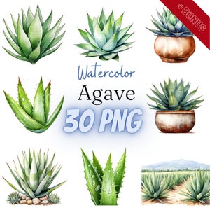 Paquete de imágenes prediseñadas de agave acuarela, PNG, 30 ilustraciones, aloe, agave acuarela, planta en maceta, 300 ppp, transparente, digital, uso comercial