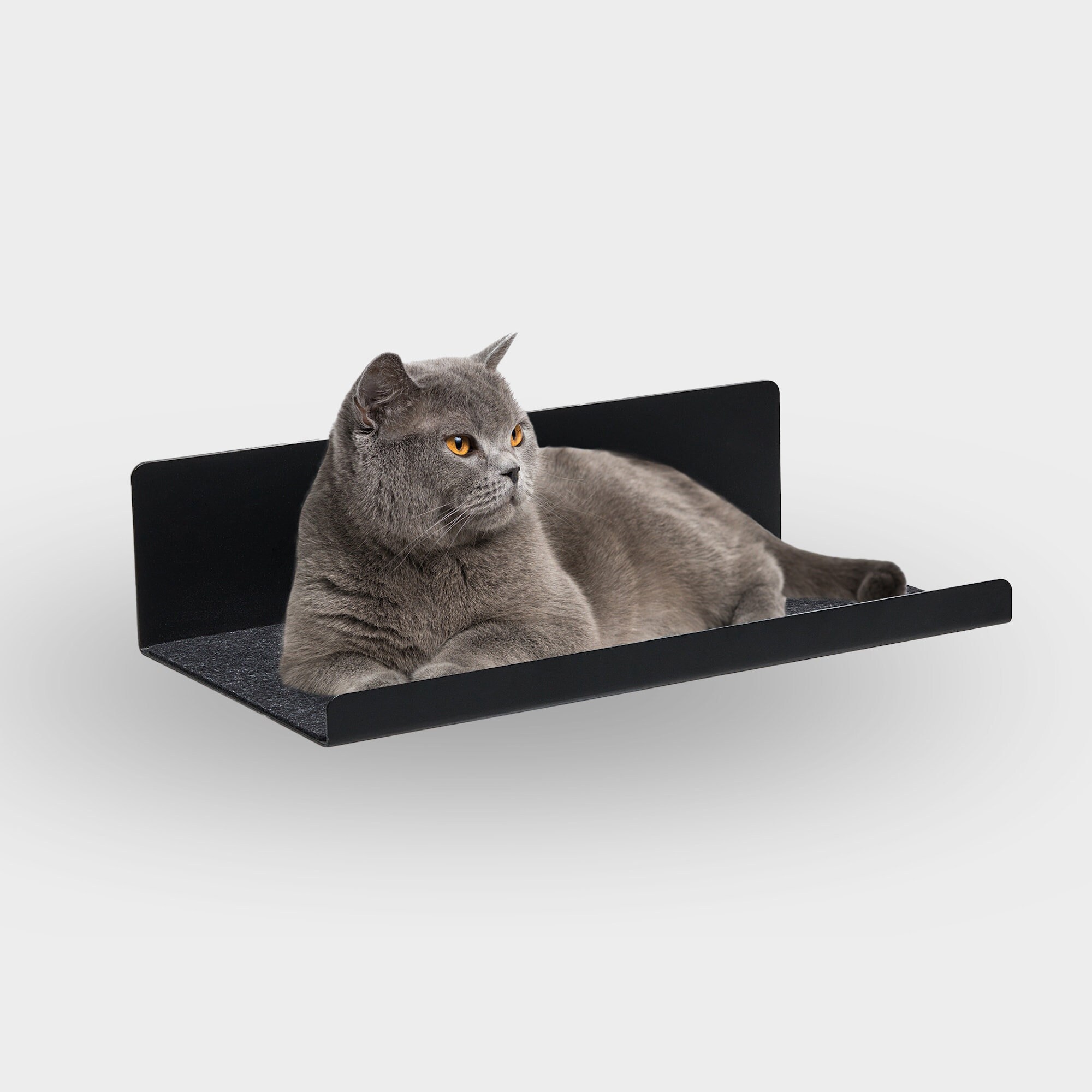 Was Hilft, Wenn Ihre Katze Sie Andauernd Weckt | Nau
