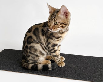 Cat window sill pad - Lana Catspace - window sill pad for cats, cat window sill bed, cat mat - 100% Wool Felt + Cork