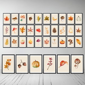 Set von 36 Aquarell Herbst Druckbare Poster | Herbst Orange Kunst | Blatt, Kürbis, Apfel, Pilze | Sofortiger Download Wandkunst