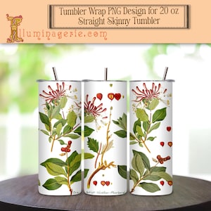 Birth Flower Month of June Honeysuckle vintage botanical floral–20oz Skinny Tumbler Wrap Sublimation Design, PNG Digital Download ONLY