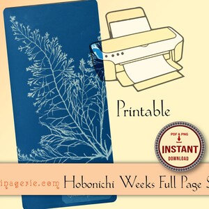 Könnte beinhalten: Druckbarer Sticker mit einer blauen und weißen botanischen Illustration für Hobonichi Weeks Planer. Der Sticker ist eine ganze Seite groß und steht zum sofortigen Download im PDF- und PNG-Format zur Verfügung.