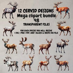 Può includere: Una collezione di 12 disegni di cervidi in un mega pacchetto di clipart. L'immagine presenta varie illustrazioni di cervi con motivi geometrici e il testo "12 CERVID DESIGNS Mega clipart bundle 48 TRANSPARENT FILES".