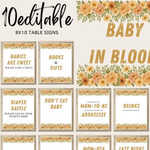 Editable Baby in Bloom Baby Shower Table Sign Bundle, Spring Flowers Diaper Raffle, Babies are Sweet, Wildflower Baby Shower Decor, BBS104