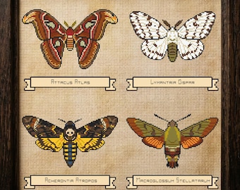 Puede incluir: Una obra de arte en punto de cruz enmarcada que presenta cuatro especies de polillas: Attacus Atlas, Lymantria Dispar, Acherontia Atropos y Macroglossum Stellatarum. Las polillas son de varios colores, incluyendo marrón, blanco, amarillo y verde. El marco es marrón oscuro.