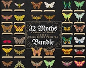 Artículos de esta tienda