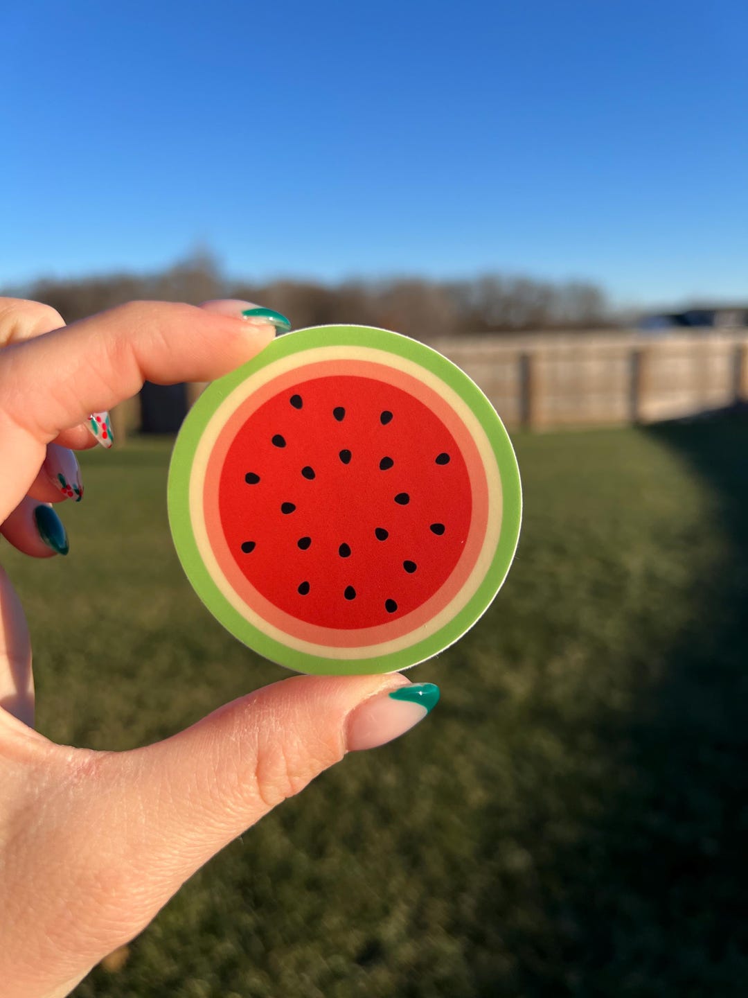 Bluey Inspired Sticker | Watermelon Rug | Bluey Gift | Sticker for ...
