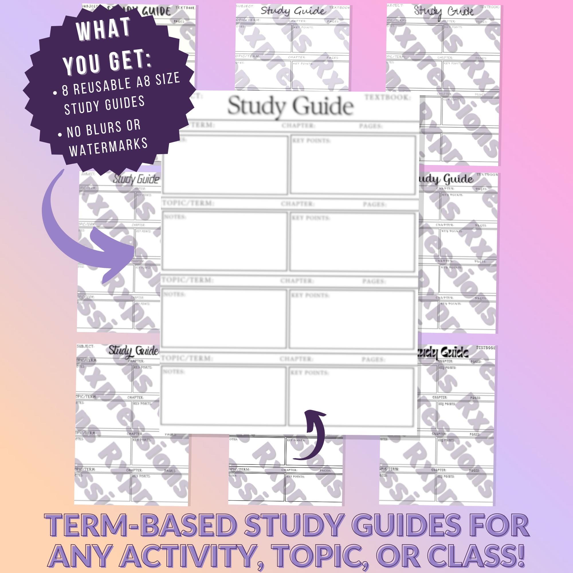 Anatomy and Physiology Study Guide Set | 30 Page Digital Download ...