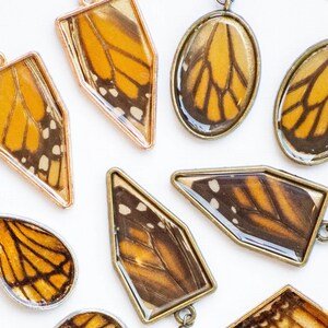 REAL Monarch Butterfly Wing Earrings, Insect, Butterfly Earrings, Butterfly Jewelry, Wing Jewelry, Wing Earrings, Butterfly, Monarch, Bug