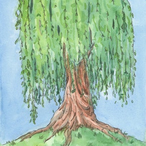May include: Watercolor painting of a weeping willow tree with green leaves and a brown trunk. The tree is growing on a grassy hill against a light blue sky.