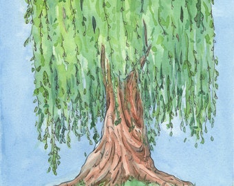 Serene Weeping Willow Tree Watercolor Print