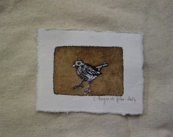Tiny animal drawing, ink bird drawing, petit dessin d'oiseau à l'encre