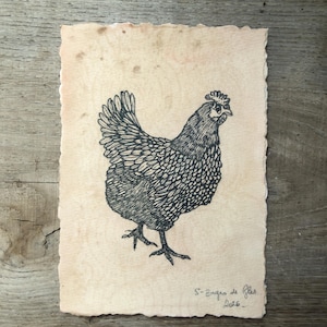 Ink and walnut ink drawing, chicken illustration, original art on handmade paper 13 x 18 cm, unframed art