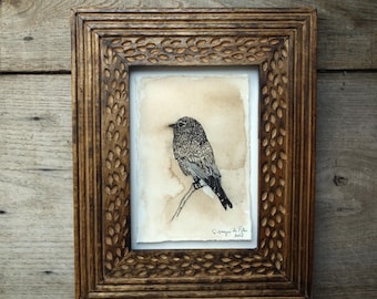 Ink and walnut ink drawing, bird, original art on handmade paper 10 x 15 cm, unframed art